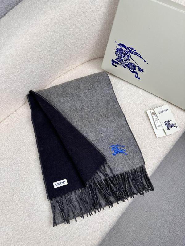 Burberry scarf hm (234)