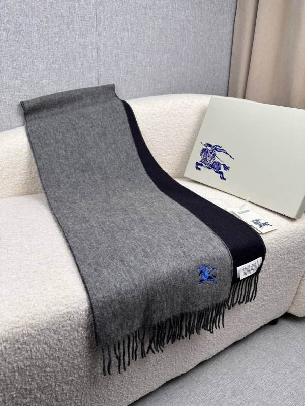 Burberry scarf hm (235)