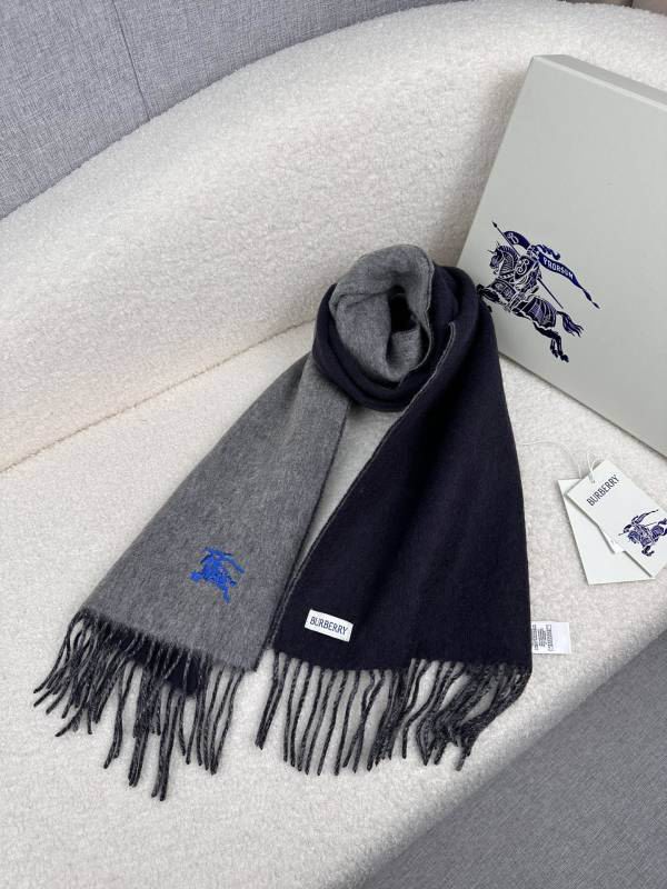 Burberry scarf hm (236)