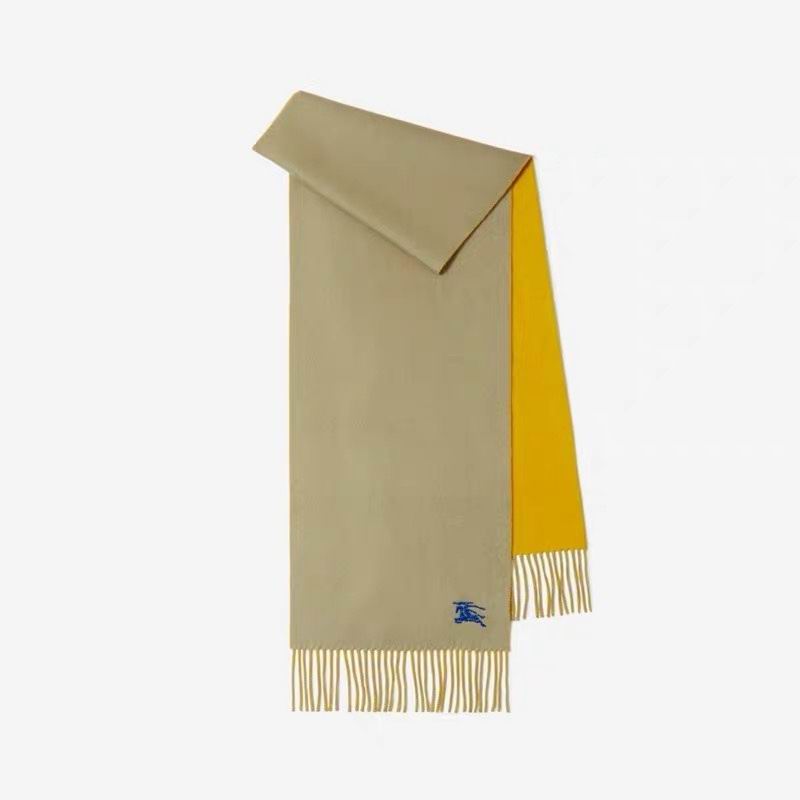 Burberry scarf hm (243)