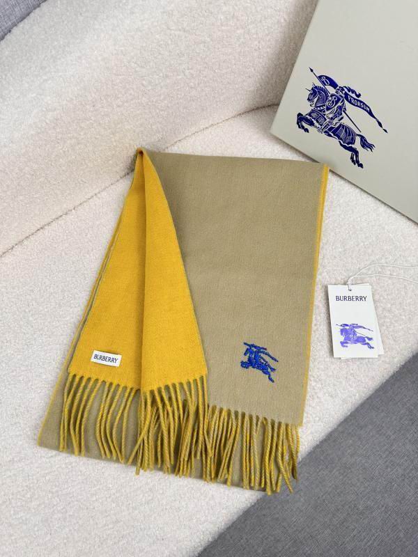 Burberry scarf hm (244)