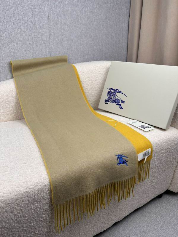 Burberry scarf hm (245)