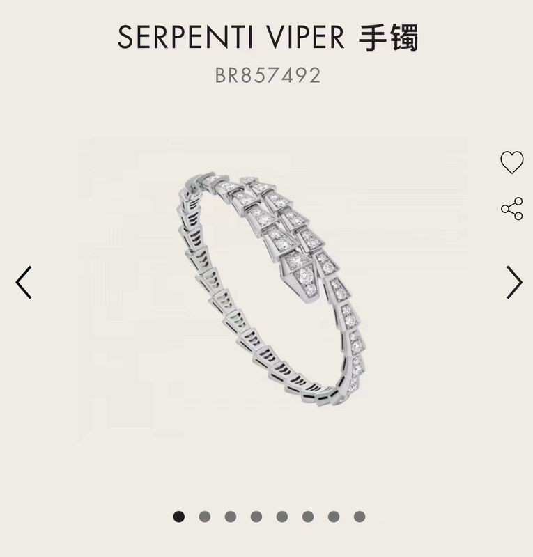 Bvlgari bracelet 09yxq01 (1)