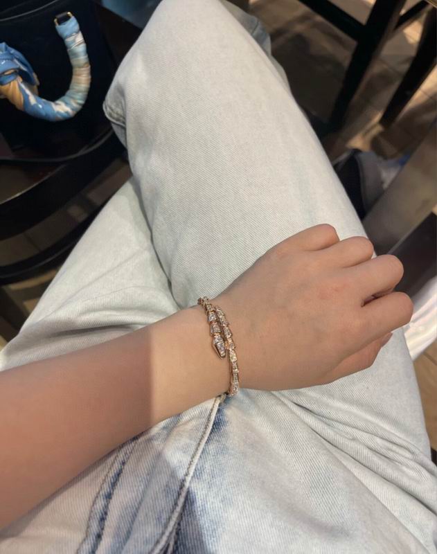 Bvlgari bracelet 09yxq01 (9)