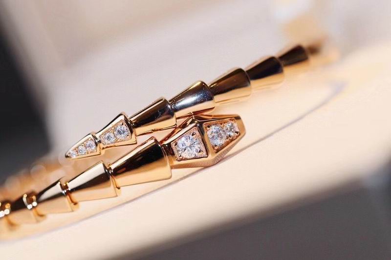 Bvlgari bracelet 09yxq03 (2)