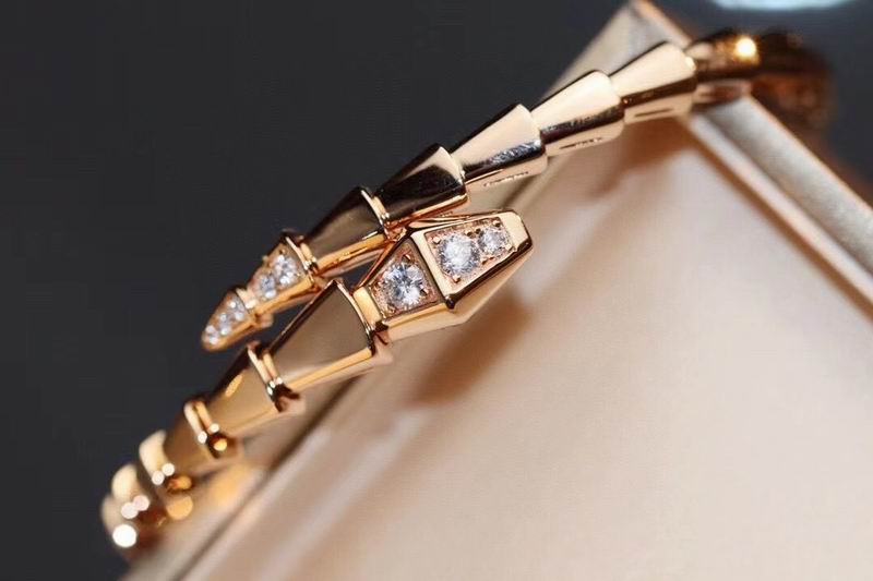 Bvlgari bracelet 09yxq03 (5)