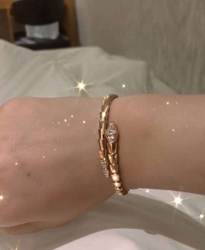 Bvlgari bracelet 09yxq03 (8)