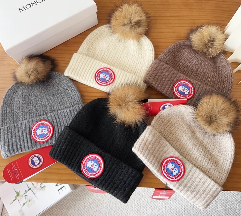 Canada Goose Hat dx (46)