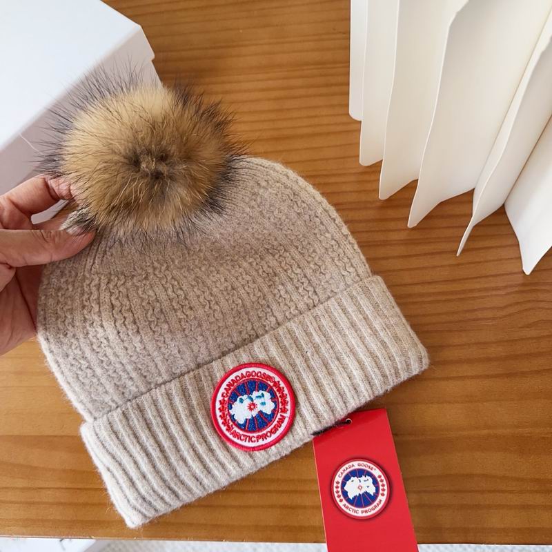Canada Goose Hat dx (59)