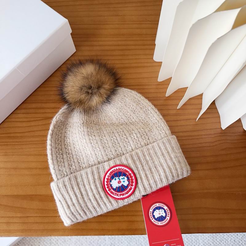 Canada Goose Hat dx (60)