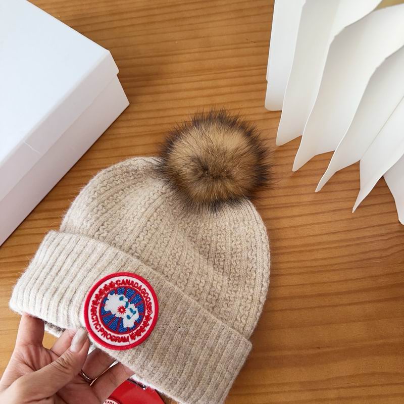 Canada Goose Hat dx (61)