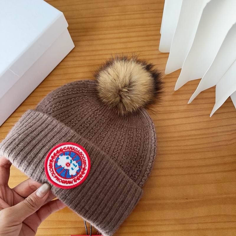 Canada Goose Hat dx (69)