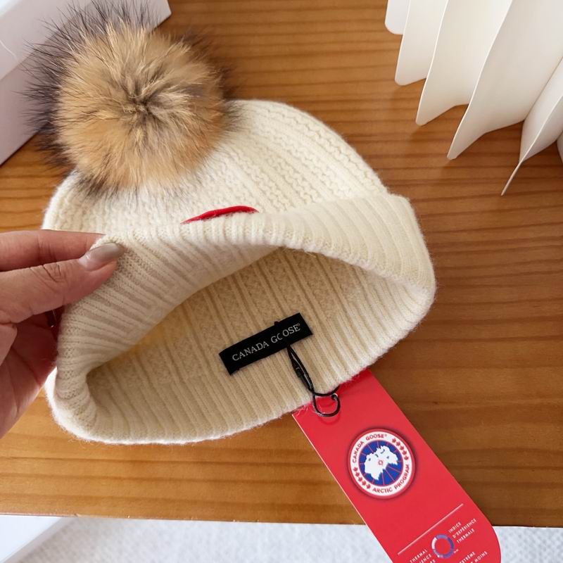 Canada Goose Hat dx (78)