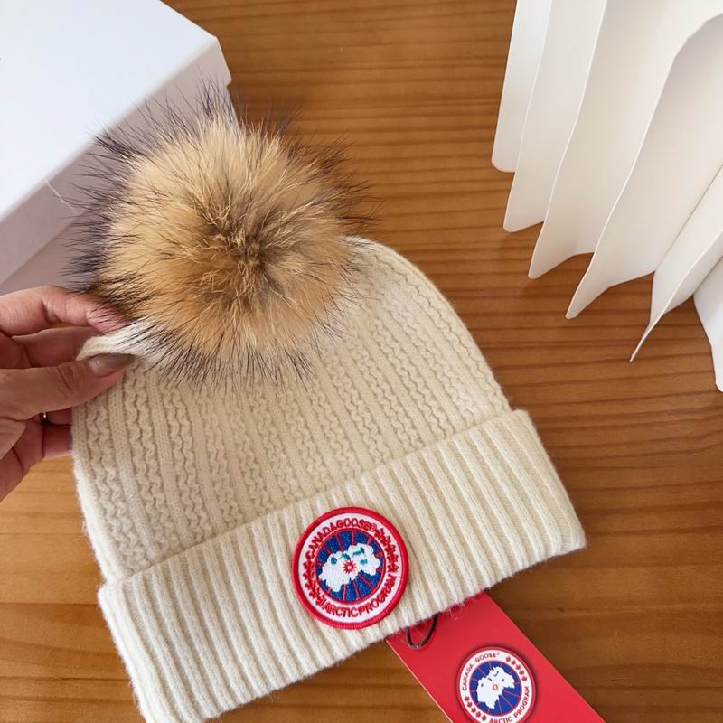Canada Goose Hat dx (79)