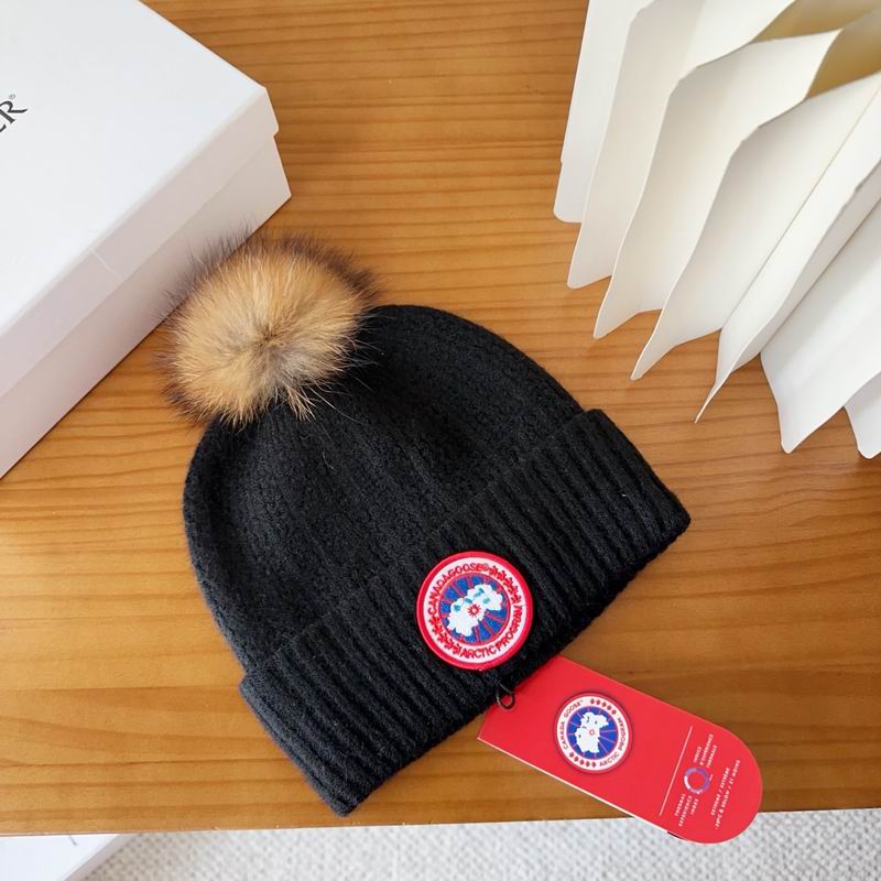 Canada Goose Hat dx (83)