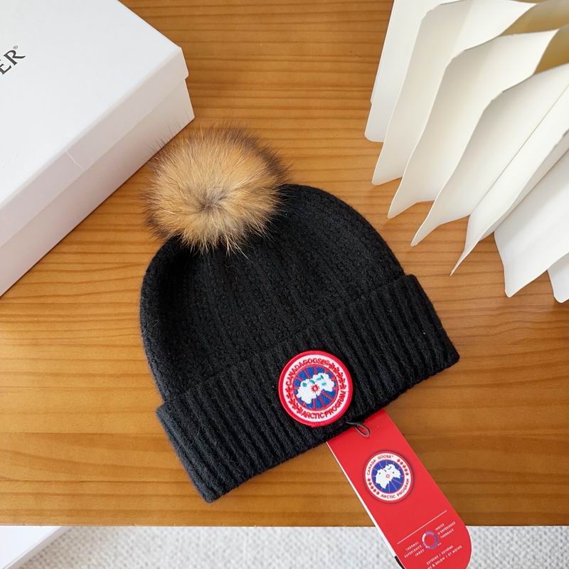 Canada Goose Hat dx (89)
