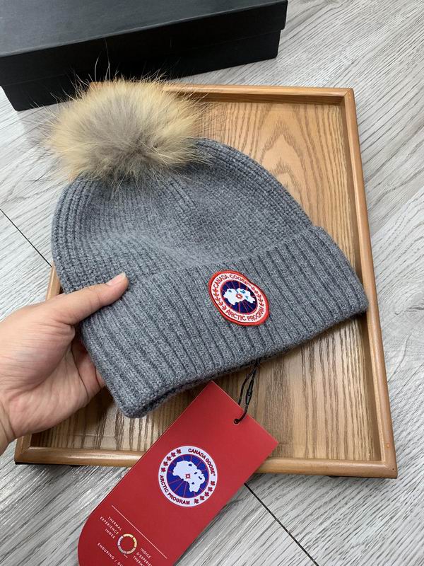 Canada Goose hat dx (391)