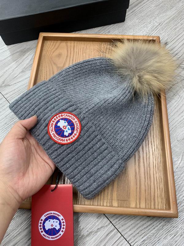 Canada Goose hat dx (392)