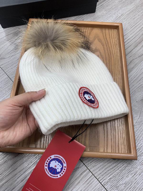 Canada Goose hat dx (400)