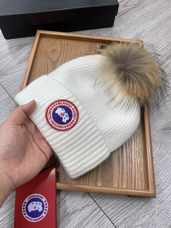 Canada Goose hat dx (401)