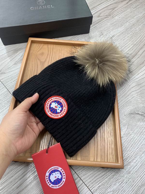 Canada Goose hat dx (419)