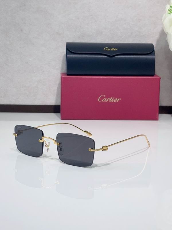 Cartier CT0367S 140 C05