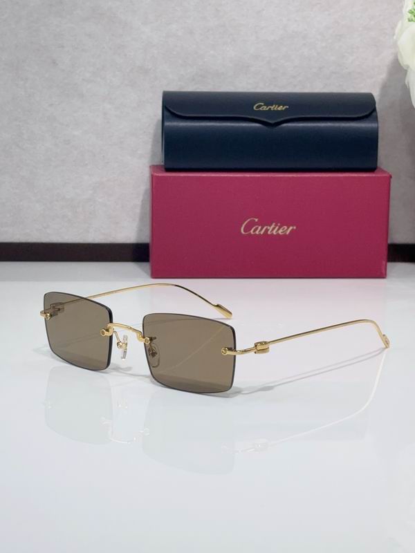 Cartier CT0367S 140 C06