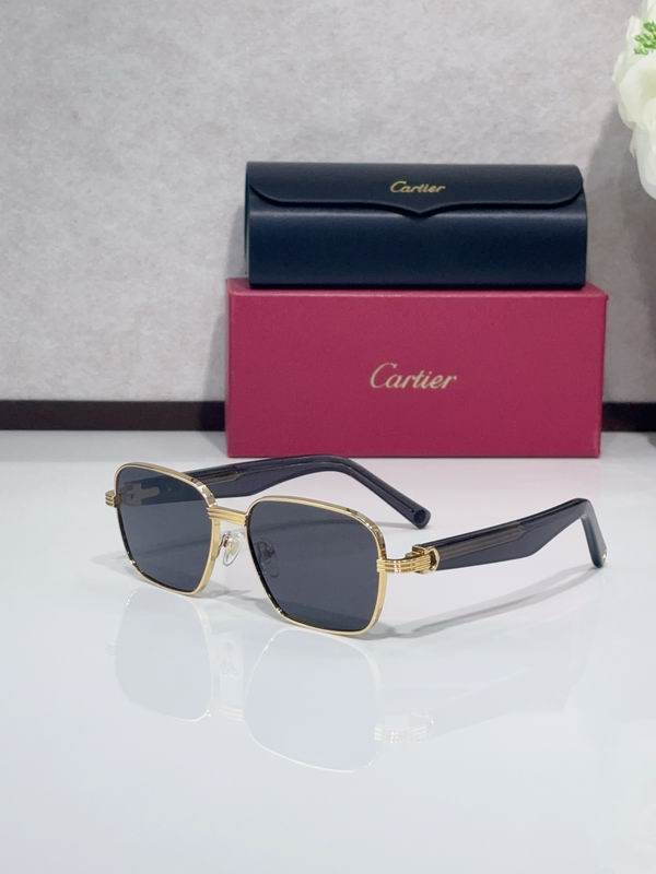 Cartier CT0538S 55 17-145 C03