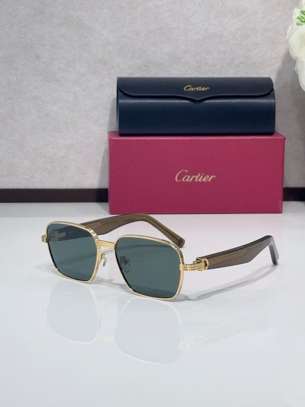 Cartier CT0538S 55 17-145 C06