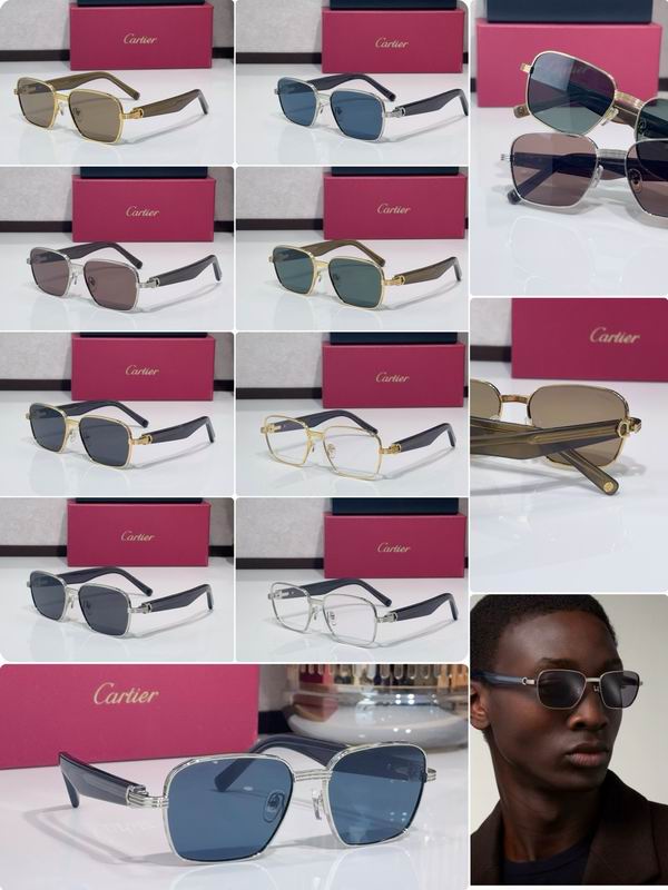 Cartier CT0538S 55 17-145 C10