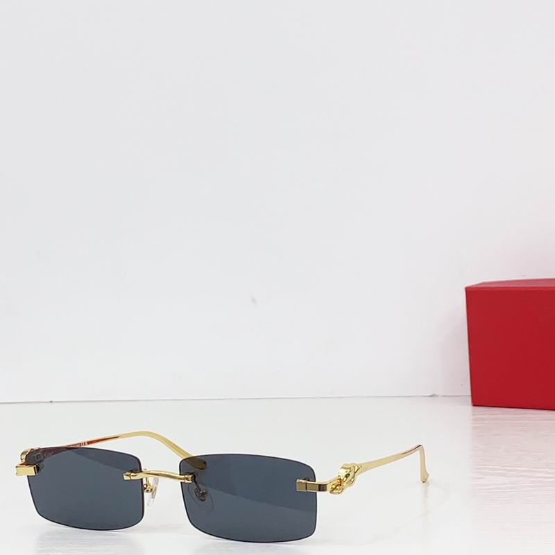 Cartier CT0552S 55 20-140 b02