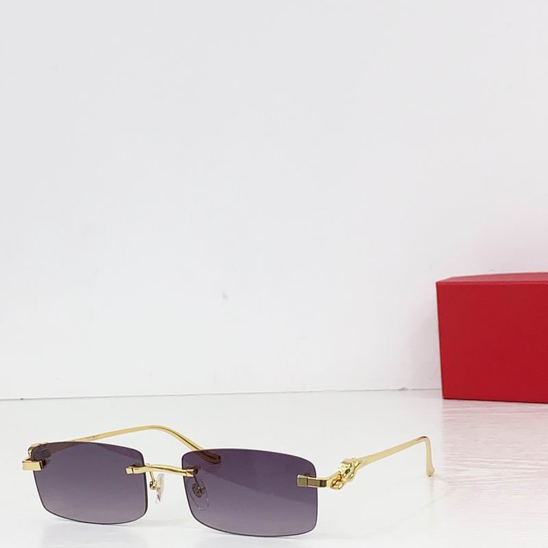 Cartier CT0552S 55 20-140 b04