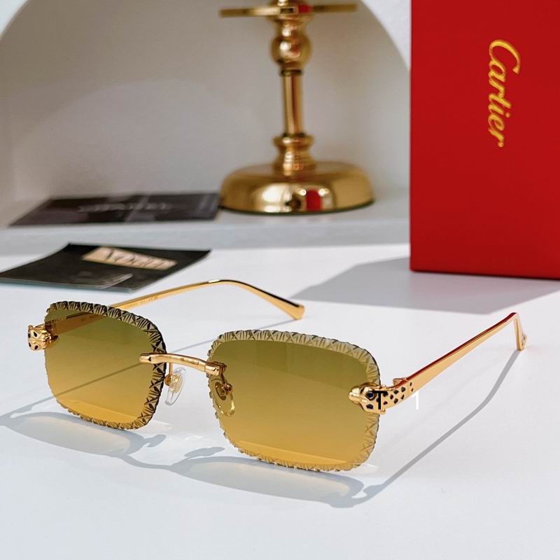 Cartier CT0830S 58 17-143 A04