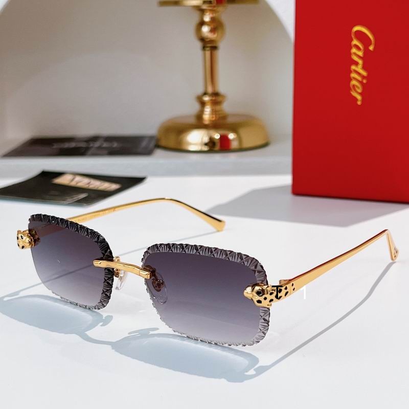 Cartier CT0830S 58 17-143 A07