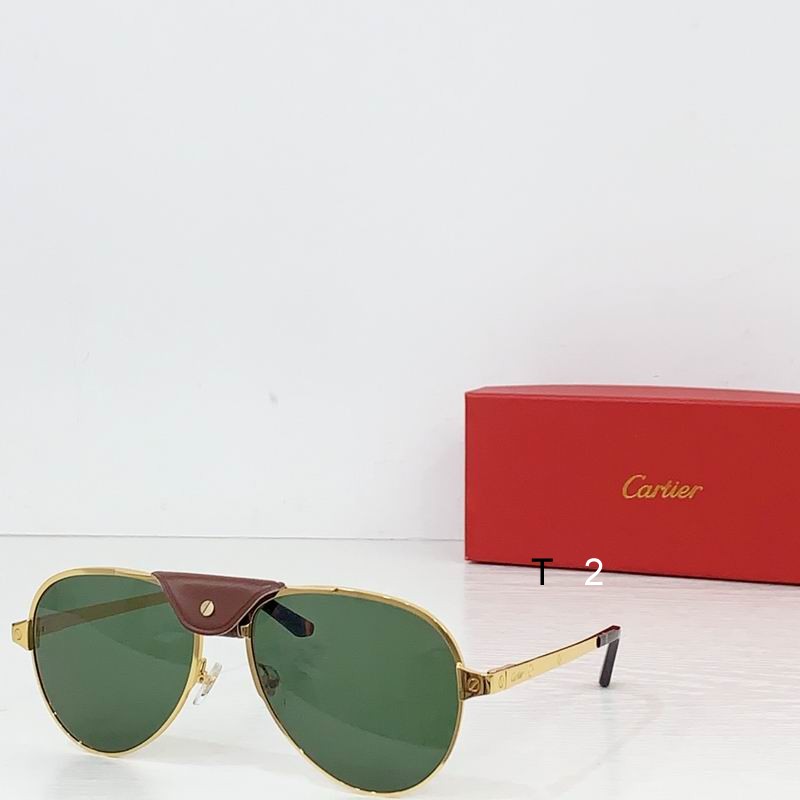 Cartier CT0034S 61 17-135 b02