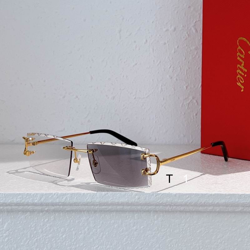 Cartier CT0103O 55 18-135 a02