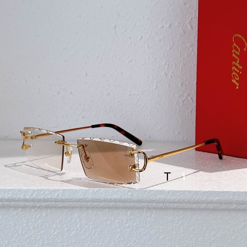 Cartier CT0103O 55 18-135 a03