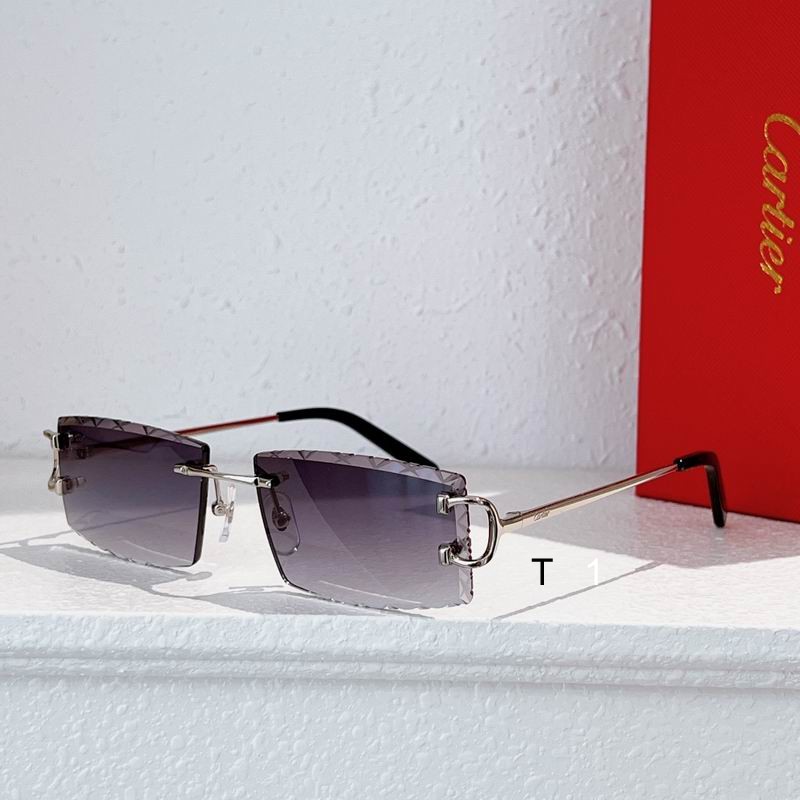 Cartier CT0103O 55 18-135 a05