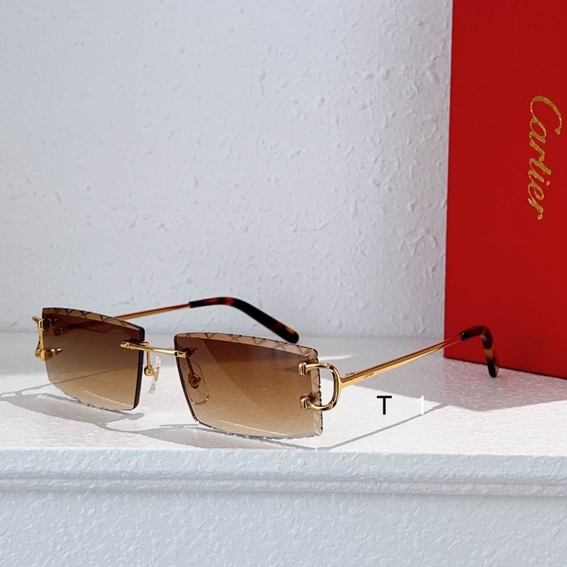 Cartier CT0103O 55 18-135 a06