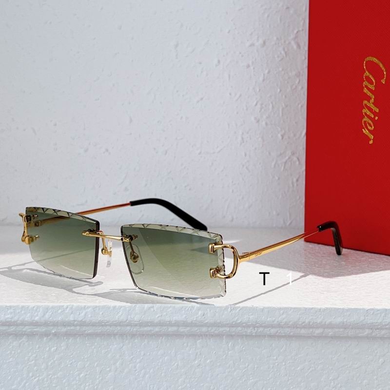 Cartier CT0103O 55 18-135 a08