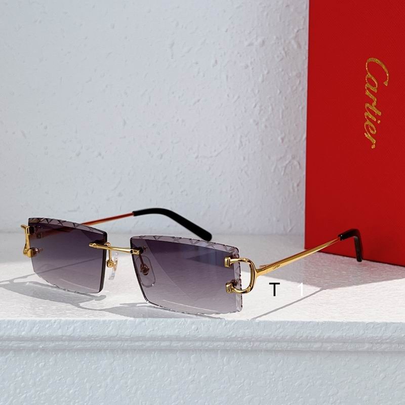 Cartier CT0103O 55 18-135 a09