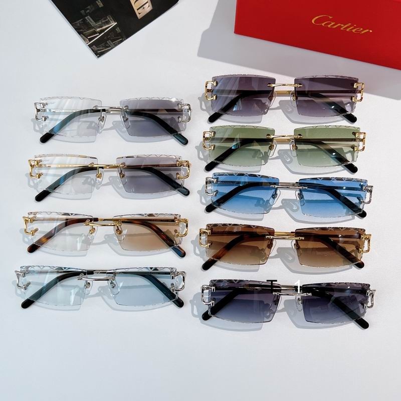 Cartier CT0103O 55 18-135 a10