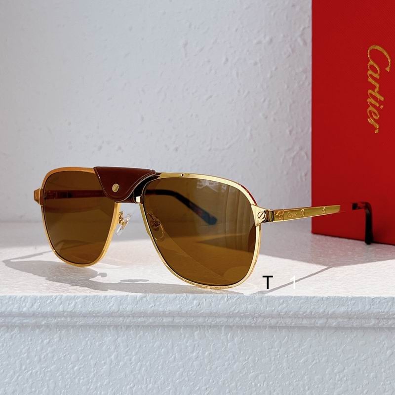 Cartier CT0165S 58 16-145 a01