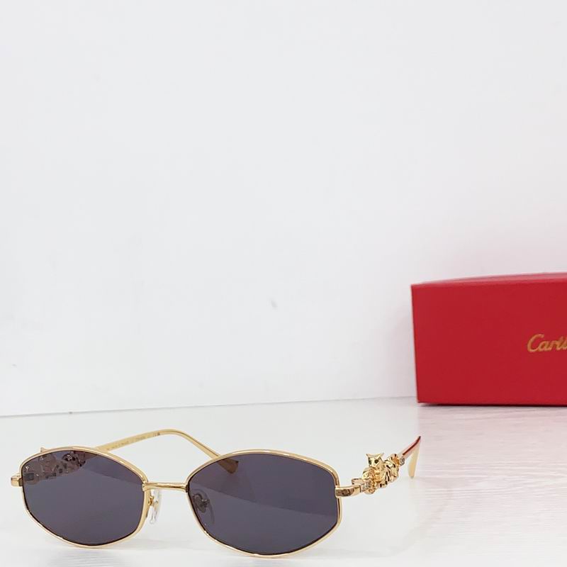 Cartier CT01823O 56 17-14 b04