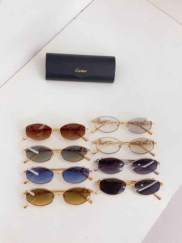 Cartier CT01823O 56 17-14 b08