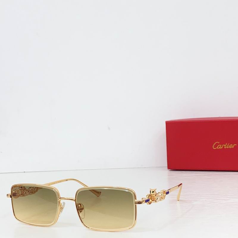 Cartier CT01824O 56 17-146 b01