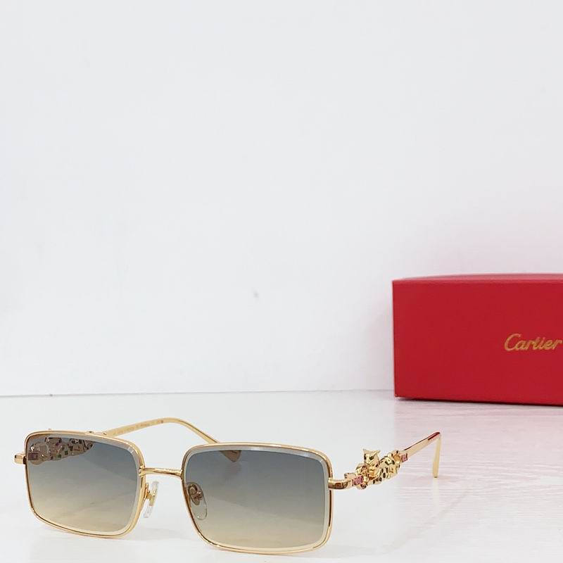Cartier CT01824O 56 17-146 b04