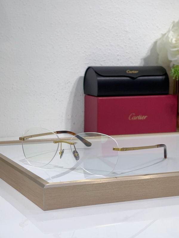 Cartier CT0254O 57 15-145 c 03