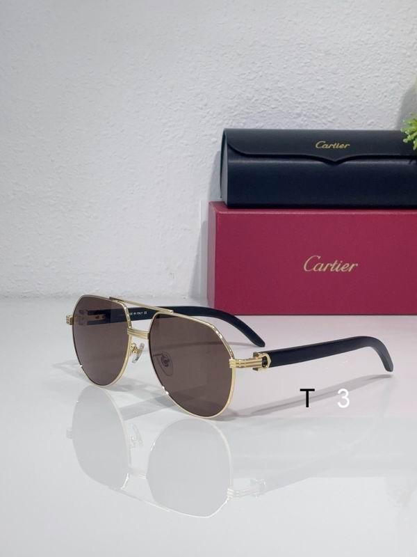 Cartier CT0272 59 17-145 C01