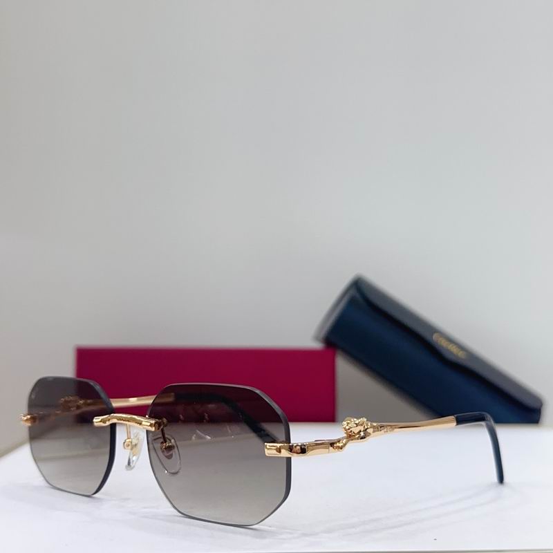 Cartier CT0281 56-17-145 g01